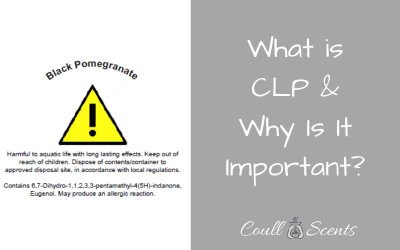 What is CLP & Why is it important?