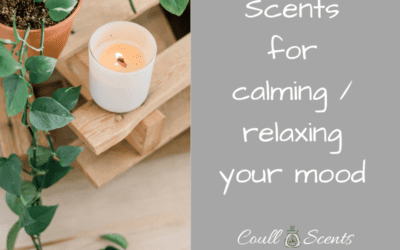 Scents for calming and relaxing your mood