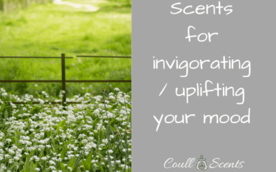 Scents for invigorating and uplifting your mood