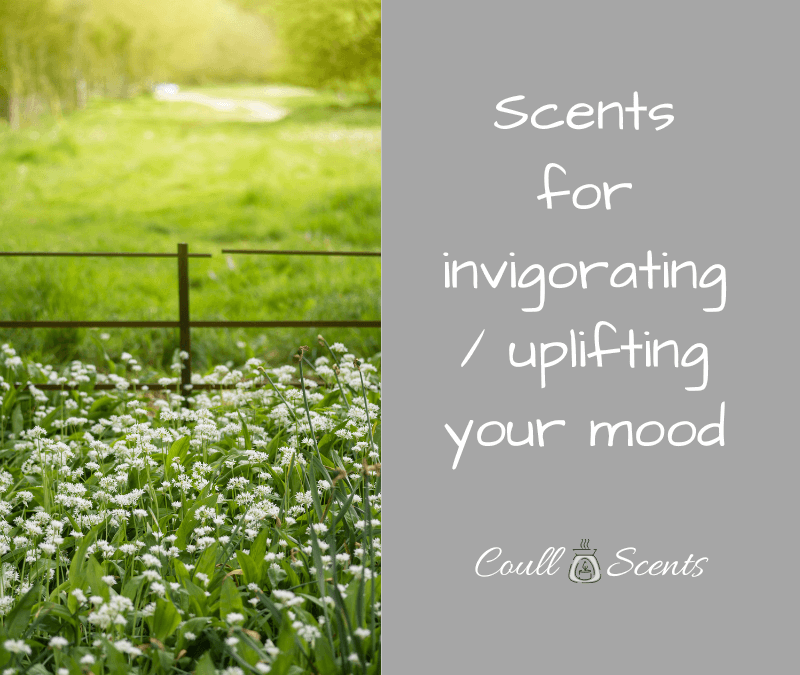 Scents for invigorating and uplifting your mood