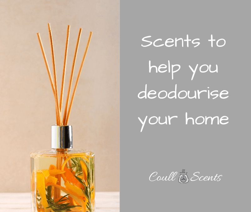 Scents to help deodourise your home