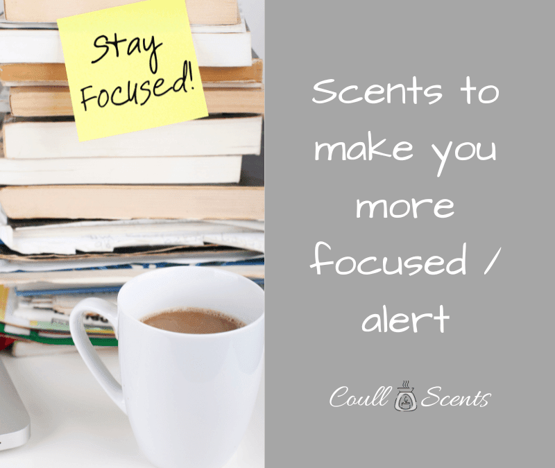 Scents to make you more focused and alert