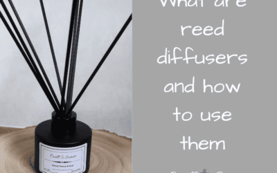What are Reed Diffusers and how to use them