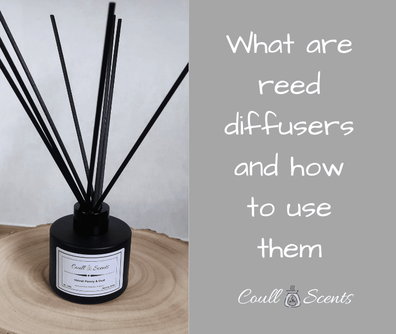 What are Reed Diffusers and how to use them
