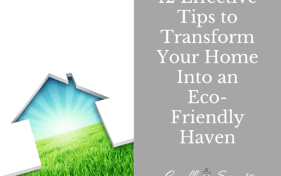12 Tips to Transform Your Home Into an Eco-Friendly Haven