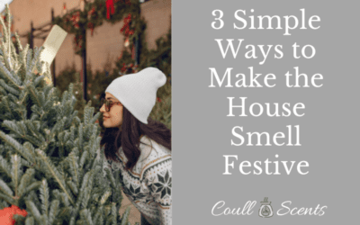 3 Simple Ways to Make The House Smell Festive