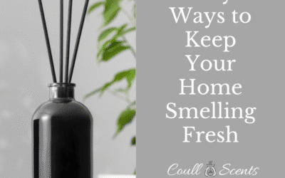 Easy Ways to Keep Your Home Smelling Fresh