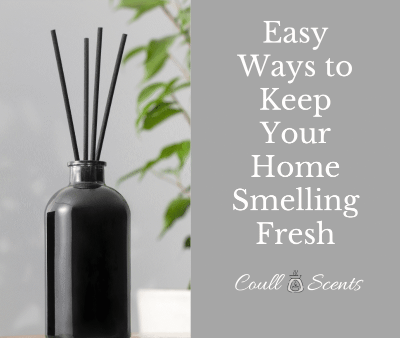 Easy Ways to Keep Your Home Smelling Fresh