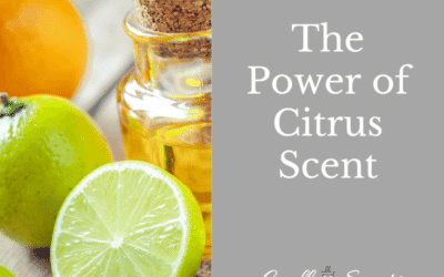 Citrus Home Fragrance Benefits | Boost Mood & Energy