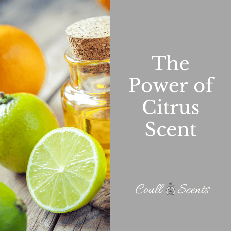 Citrus Home Fragrance Benefits | Boost Mood & Energy - Coull Scents