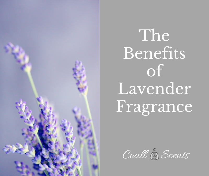 The Benefits of Lavender Fragrance