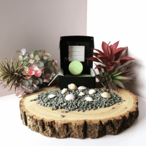 Pacific Fusion Wax Melt inside an open black box, surrounded by grey pebbles, shells and plants, all sitting on top of a wooden board.