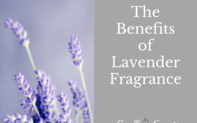 The Benefits of Lavender Fragrance
