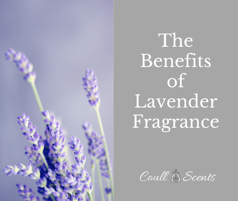 The Benefits of Lavender Fragrance