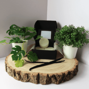 Vanilla Dream Wax Melt inside an open black box, surrounded by plants and vanilla pods, all sitting on top of a wooden board.