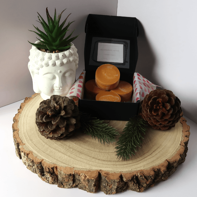 Woodland Musk Wax Melt inside an open black box, surrounded by pine cones, fir tree branches and a plant in a buddha pot, all sitting on top of a wooden board.