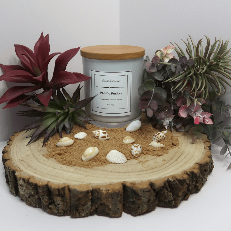 Pacific Fusion Candle in white container with wooden lid on, surrounded by sand, shells, and plants, all sitting on top of a wooden board.